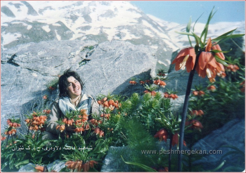 fatme-dlaweri-shehid