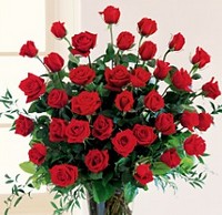 gul_gul14