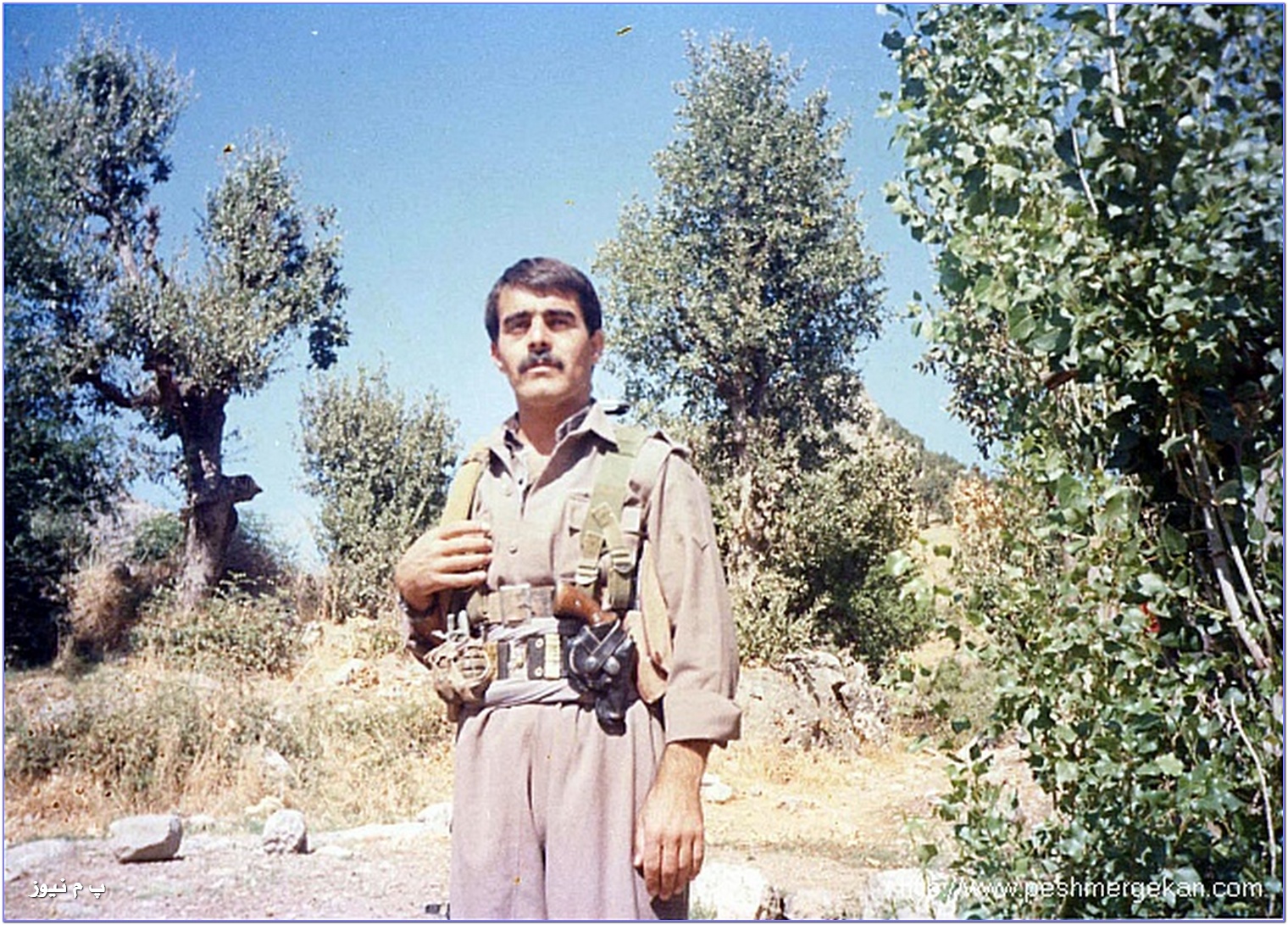 nardni_wene_zagros103.jpg