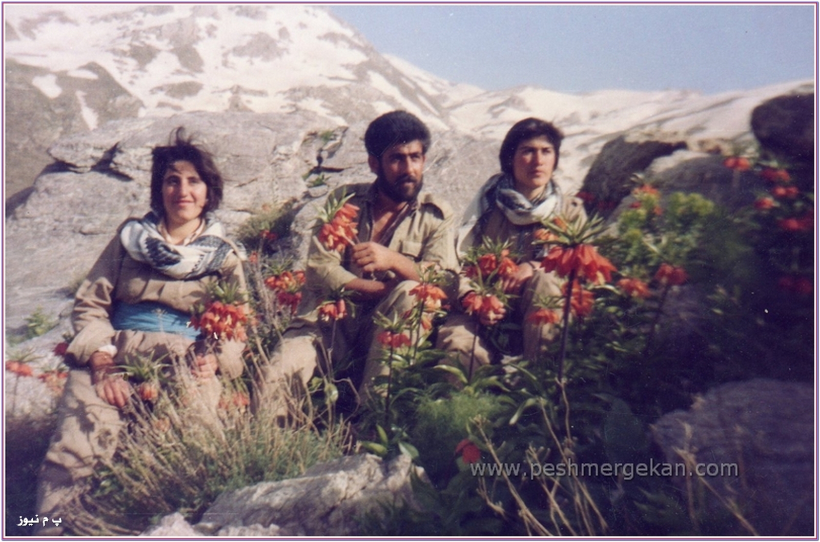 peshmerge_PDKI_qandil_nardn_mremrehamni_6.jpg