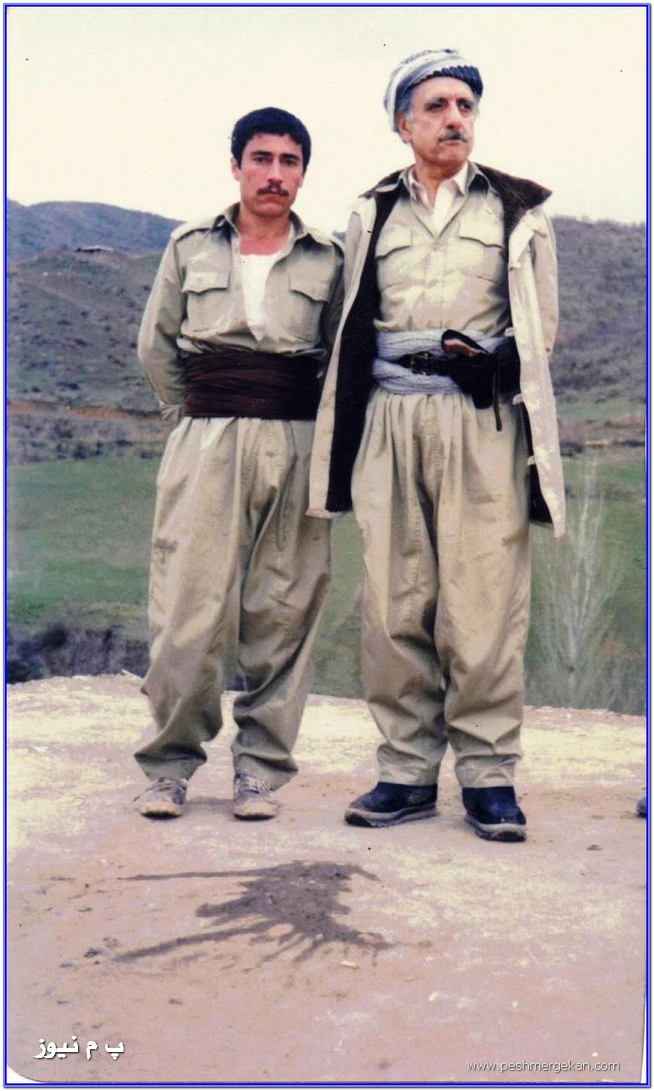pdki-pm_37.jpg
