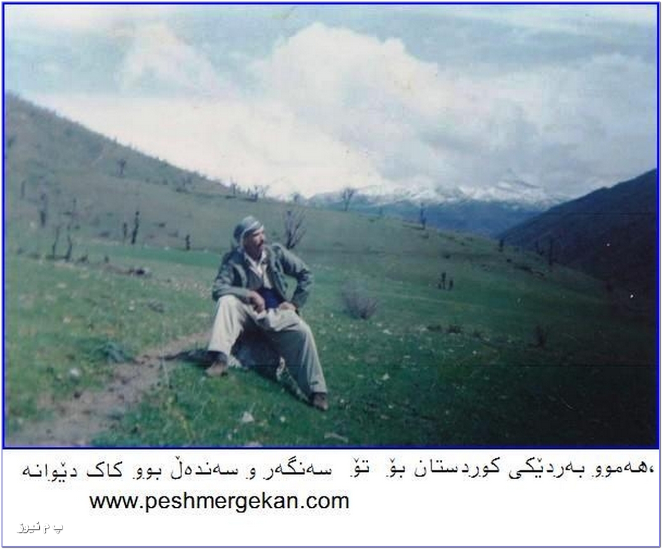 pdki_pm_shimali_kurdistan_50.jpg