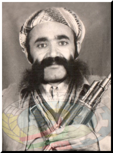 muhamad-kurd-nejad-.jpg