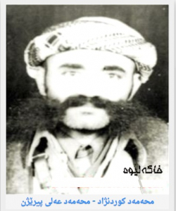 muhamad-kurd-nejad-ali-perejne.jpg