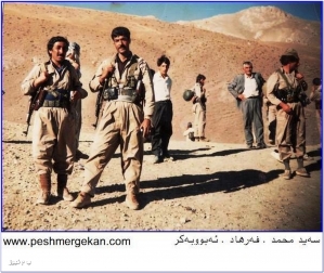 pdki_pm_shimali_kurdistan_31.jpg