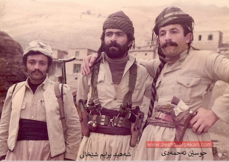 ibrahim-shexali-