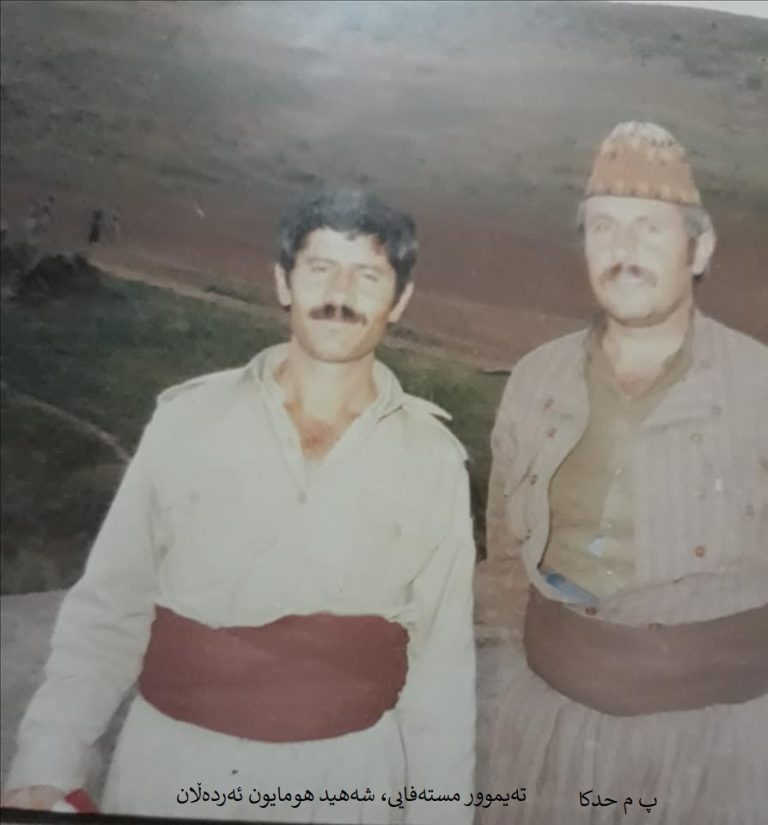 taymur-mustefayi-shehid-hamaun-ardelan