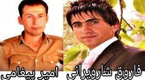 zindani-amir-faruq
