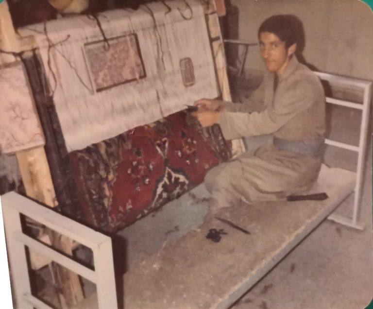 mejid-haqi-tewn-krdn