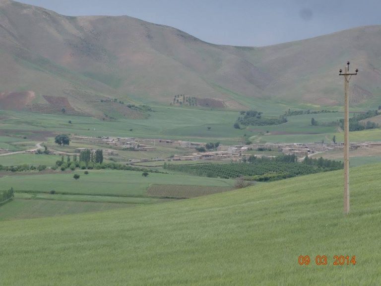 shelmjaran