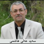 ڕۆڵی هێزی ئاوارە لە پشتیوانیی هێزی شەهیدانی وردی؛ قارەمانانی داستانی دارساوێن, عەلی هاشمی