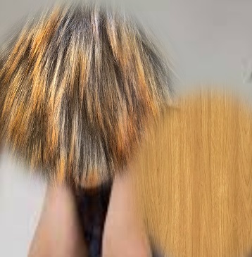 xemoki