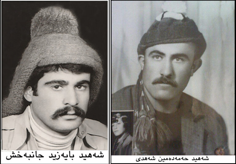 bayz-jehanbexsh-hamadamin-shehdi-shehidani-pdki