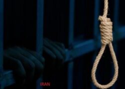 سازمان حقوق بشر ایران: اعدام ۳۵۴ نفر طی شش‌ماه؛ جامعه جهانی سکوت را بشکند.