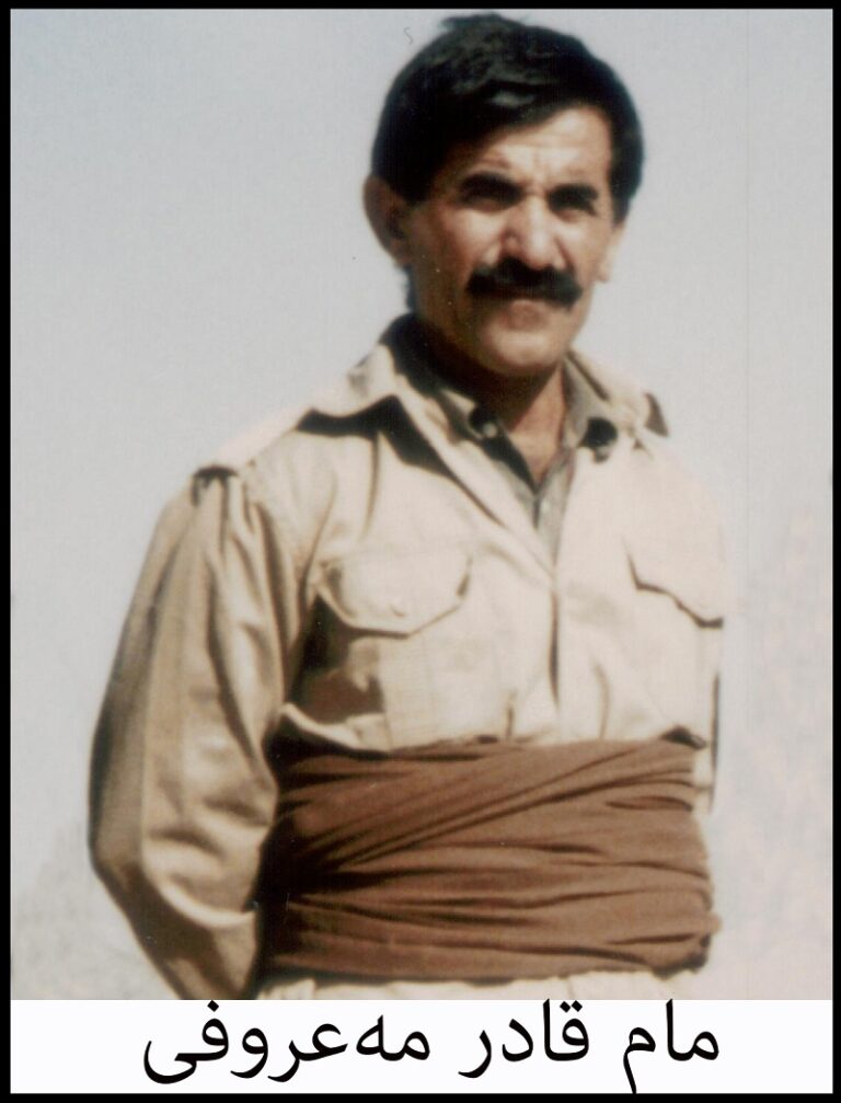 mam-qader-mehrufi-03