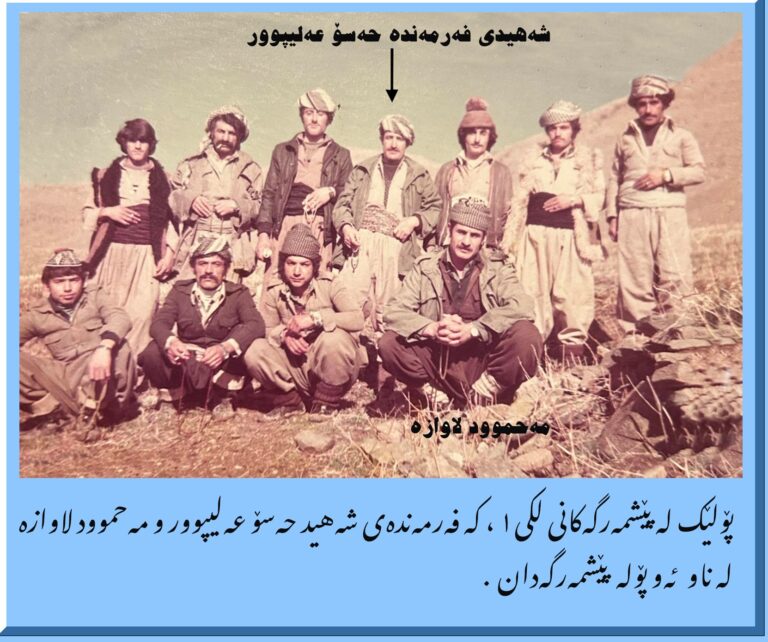 pm-liki-1-qendil