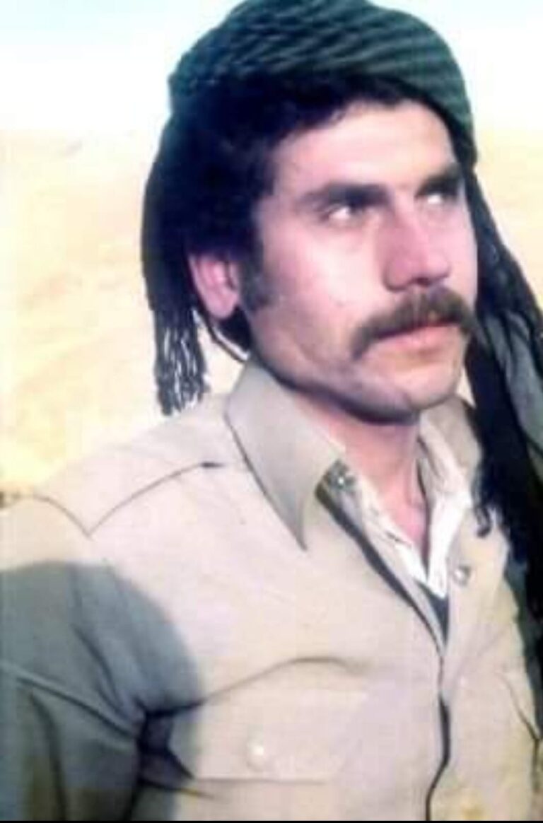 rehman-sofizadeh-01