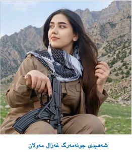 تاوانەکانی کۆماری پەت و سێدارە لە دژی گەلی کوردمان.. رەزا شـوان